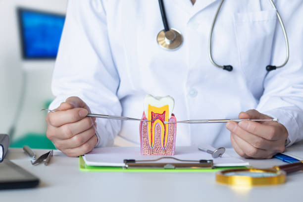 Best Weekend Emergency Dentist in Knightstown, IN